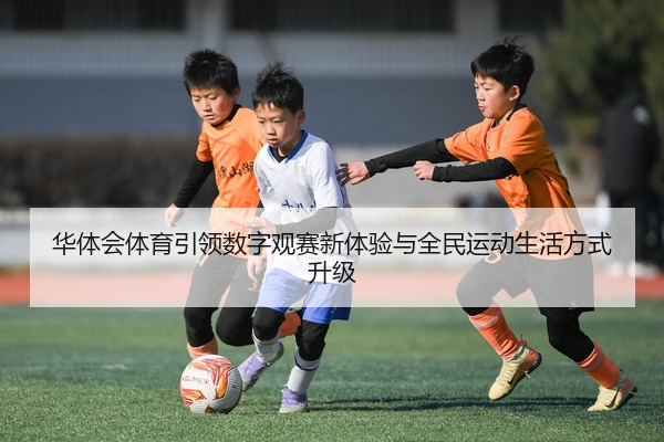img_1777517417430_104_1_479.jpg